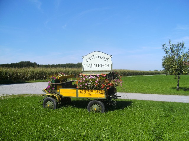 BILD0015 (2)