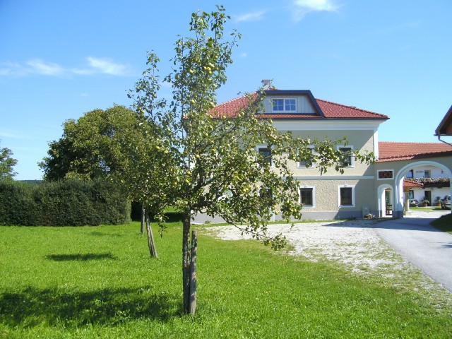 BILD0020