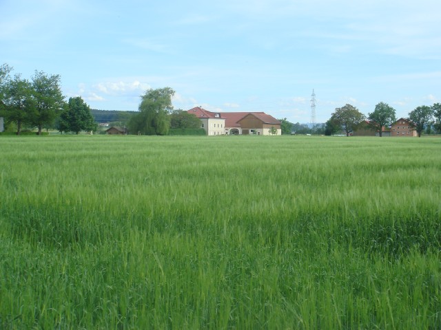 DSC07225