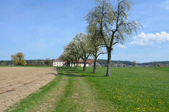 DSC_0637