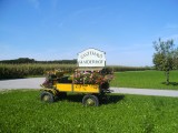 BILD0015 (2)