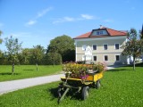 BILD0018