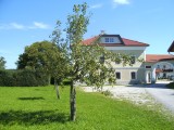 BILD0020