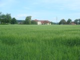 DSC07225