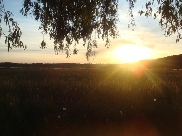 DSC07282