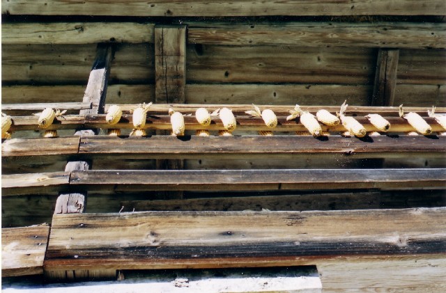Eindruck (200)