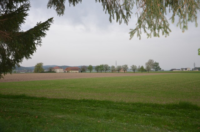Eindruck (87)