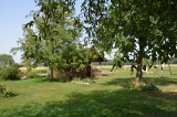 Garten1