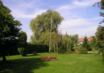 Garten6 