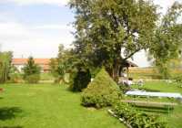 Garten4 