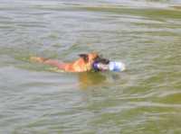 Hunde18 