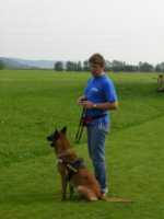 Hunde2 