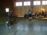 Hunde21 