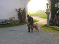 Hunde3 