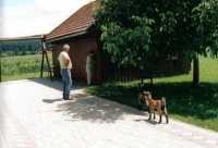 Tiere18 