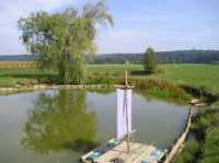 Weiher4 